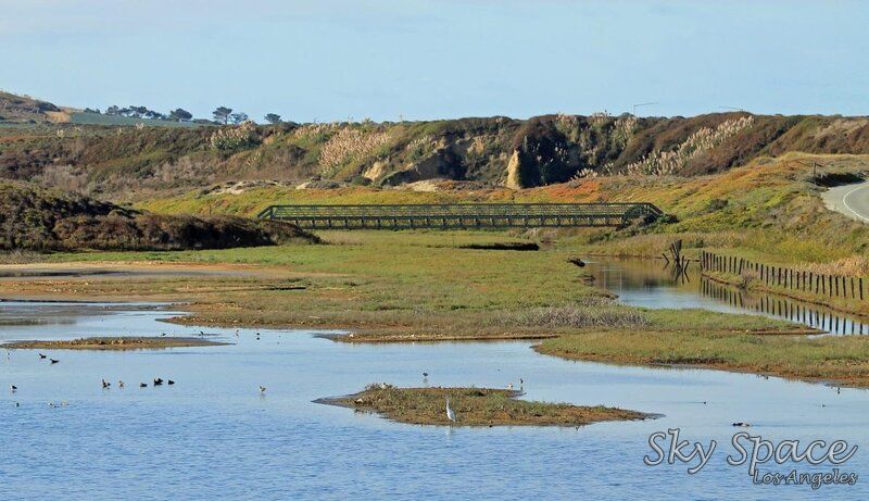 Pescadero Marsh Nature Preserve: what to do in San Francisco today
