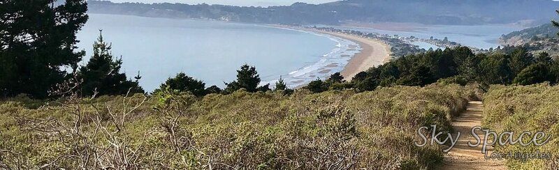 Stinson Beach and Dipsea Trail Hike: best tours in San Francisco