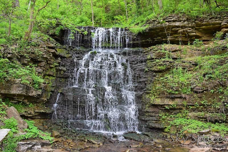 Cove Springs Park: Nature of Frankfort Kentucky
