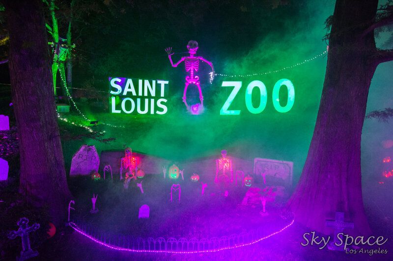 St. Louis Zoo: Active Date Ideas: best weeknight date ideas