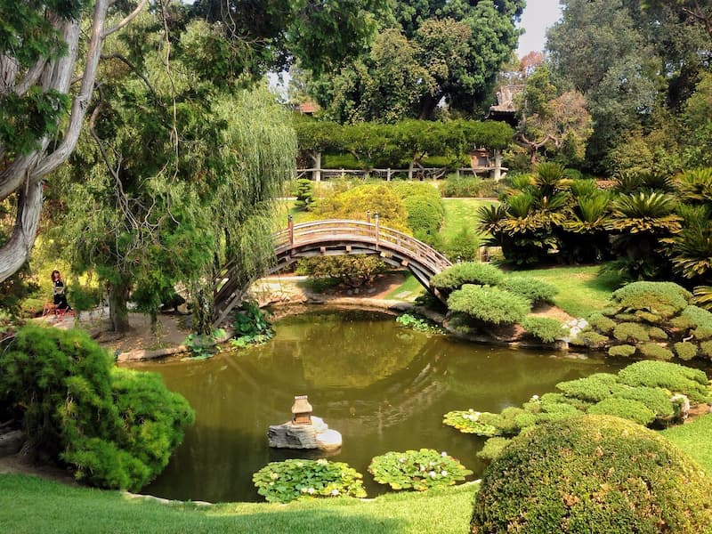 Explore the beautiful gardens at The Huntington Library