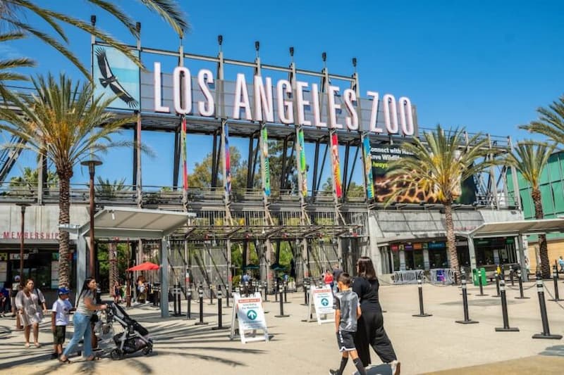 Go to the Los Angeles Zoo and Botanical Gardens: tours of downtown los angeles