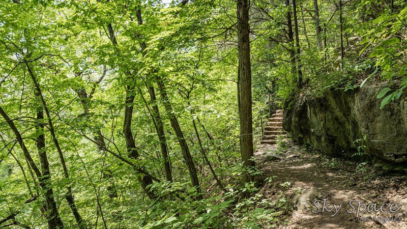 Lakeside Forest Wilderness Area: Things to Do in Branson