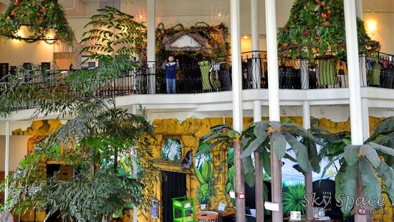 The Butterfly Palace and Rainforest: Things to Do in Branson