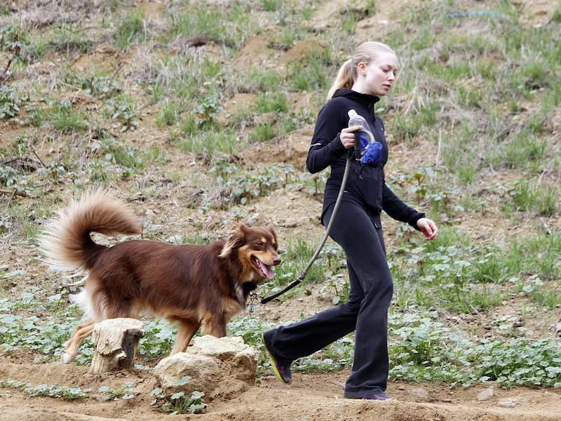 Amanda Seyfried walking her dog at runyon canyon park