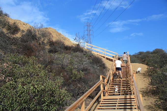 Hike through the stunning trails of Runyon Canyon Park