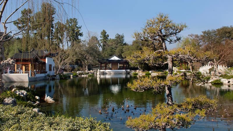 The Huntington Library, Art Collections, and Botanical Gardens 