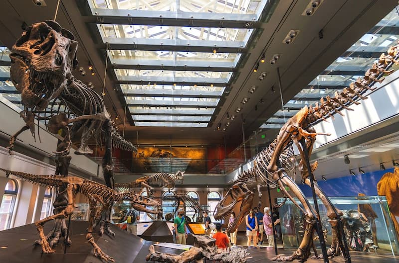 Natural History Museum of Los Angeles County - A Repository of Priceless Cultural Treasures