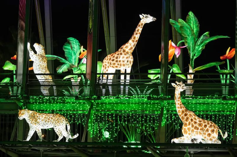 L.A. Zoo Lights - Christmas Activities in Los Angeles